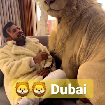 Simba Lion 🦁 with Prince humaid Dubai 🦁 #lion #Dubai #didin_clash