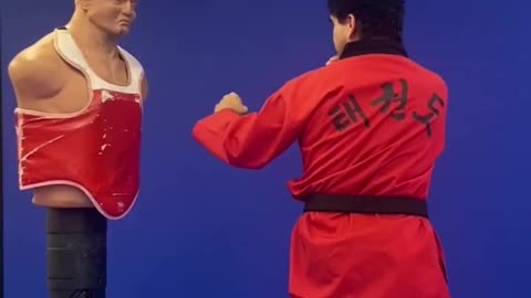Taekwondo