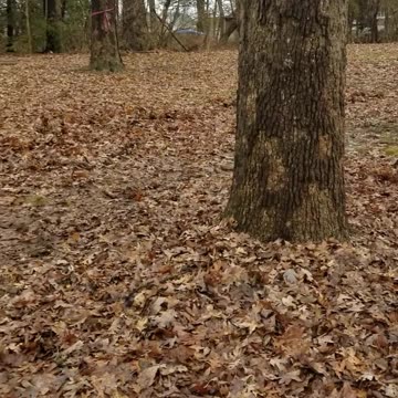 Imlee Graduate of Generalization Class.....Still working on it.