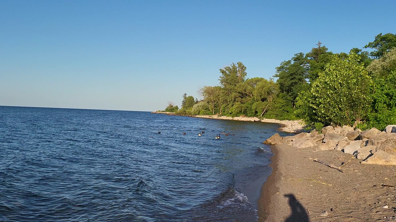 Hamilton Beach strip