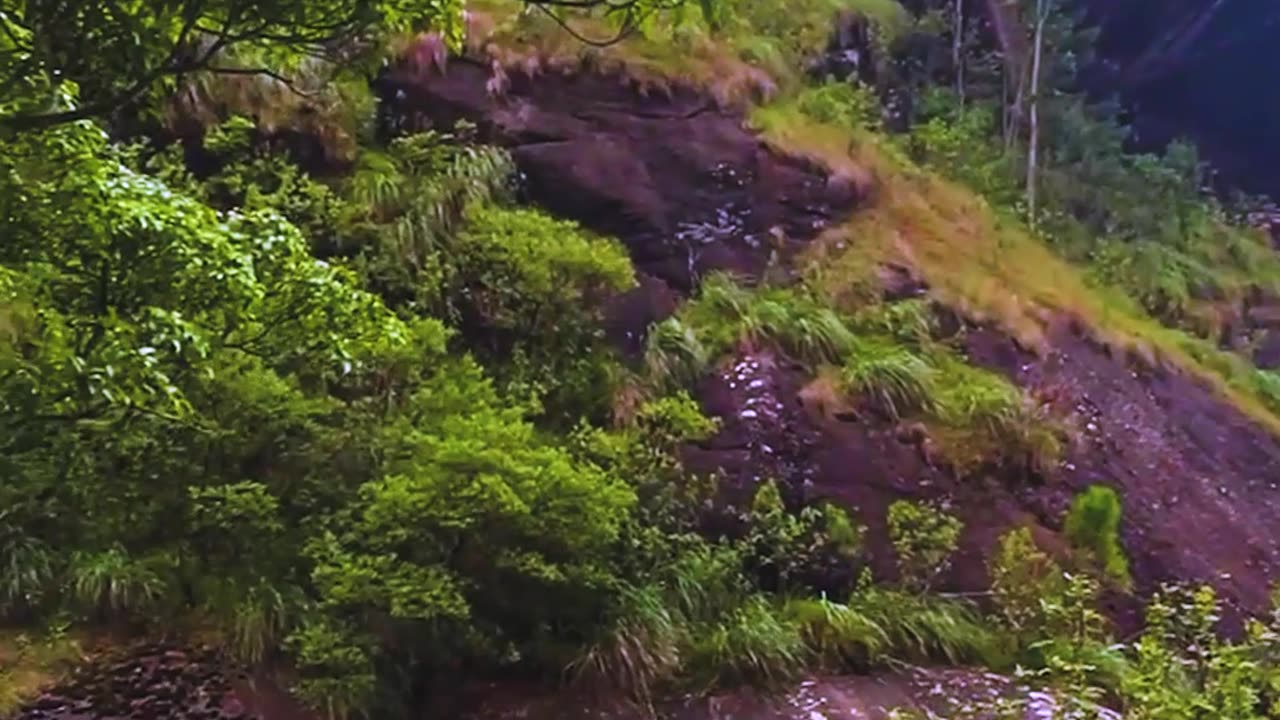 A truly relaxing camping experience🏕️🌲🥘🧘‍♀️ https://youtu.be/r7q1Ebu3mzs