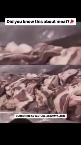 SO 1 HAMBURGER COMES FROM 1 COW RIGHT? NOPE. 1 HAMBURGER COULD BE PARTS OF 1,000 COWS. HOLY COW!