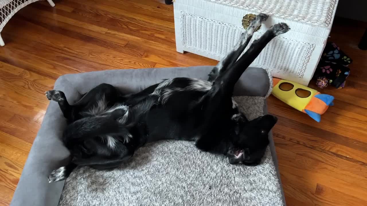 This Is My Morning Routine