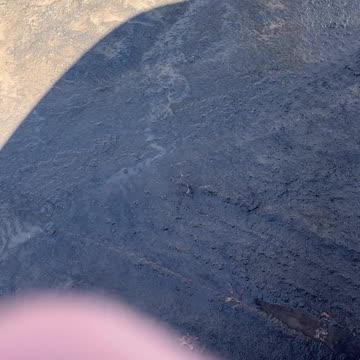 Don't tell me they aren't coming after YOU