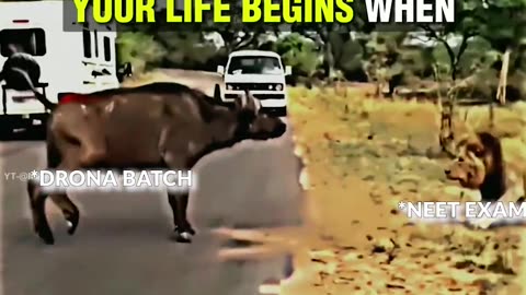 your life begins when fear ends 🤘😎😎