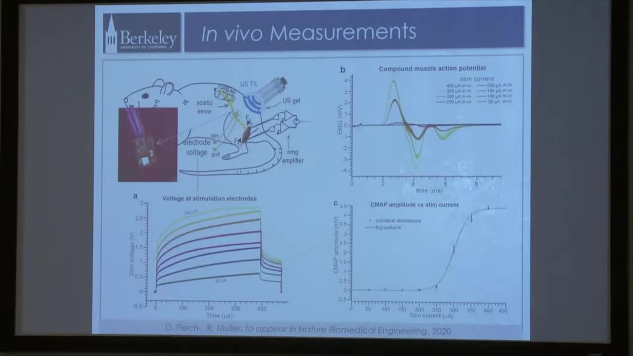 2019 IEEE EMBS Workshop - Rikky Muller on Deep tissue wireless neural interfacing