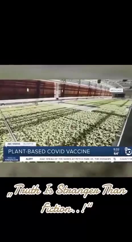 Plant based Covid "vaccine"