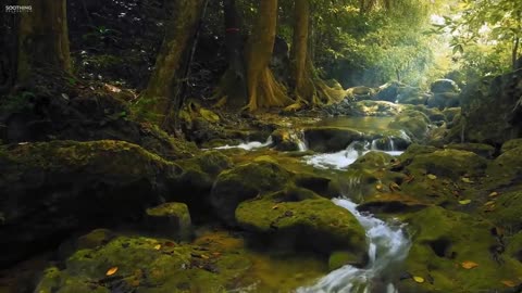 Beautiful Relaxing Music