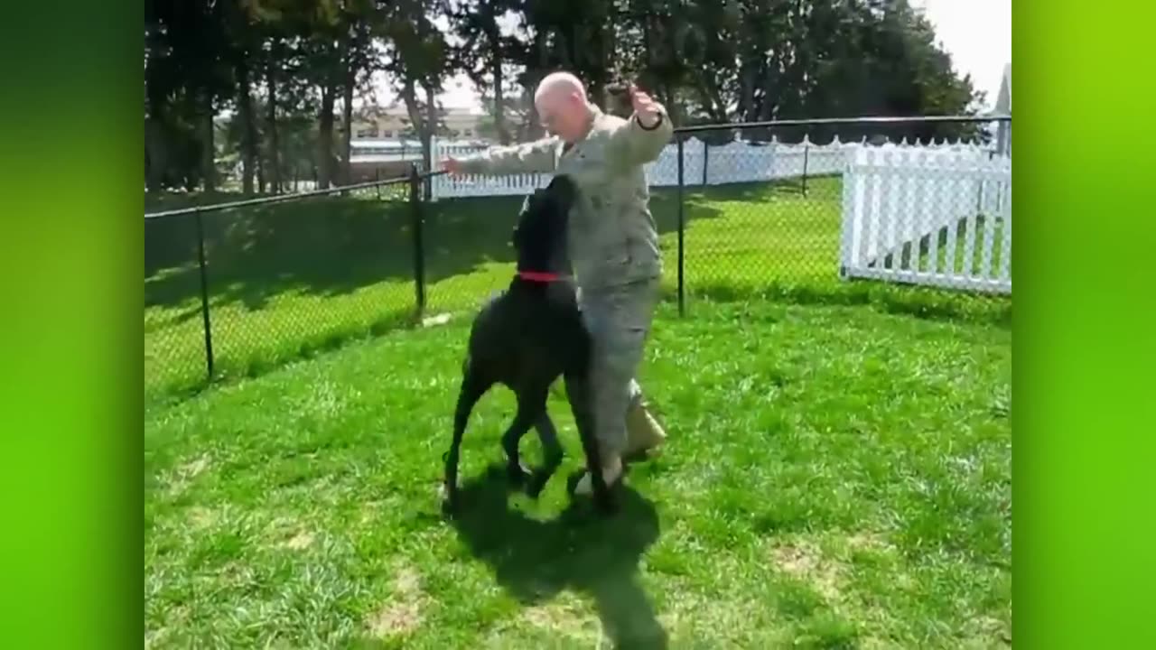 Animals reunited with their owners .