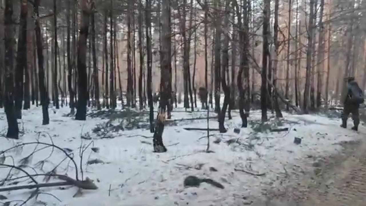 A day in the forrest near Kremennaya - 18+