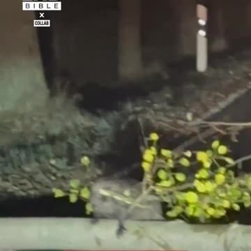 I hope he's getting paid for his overtime 😅