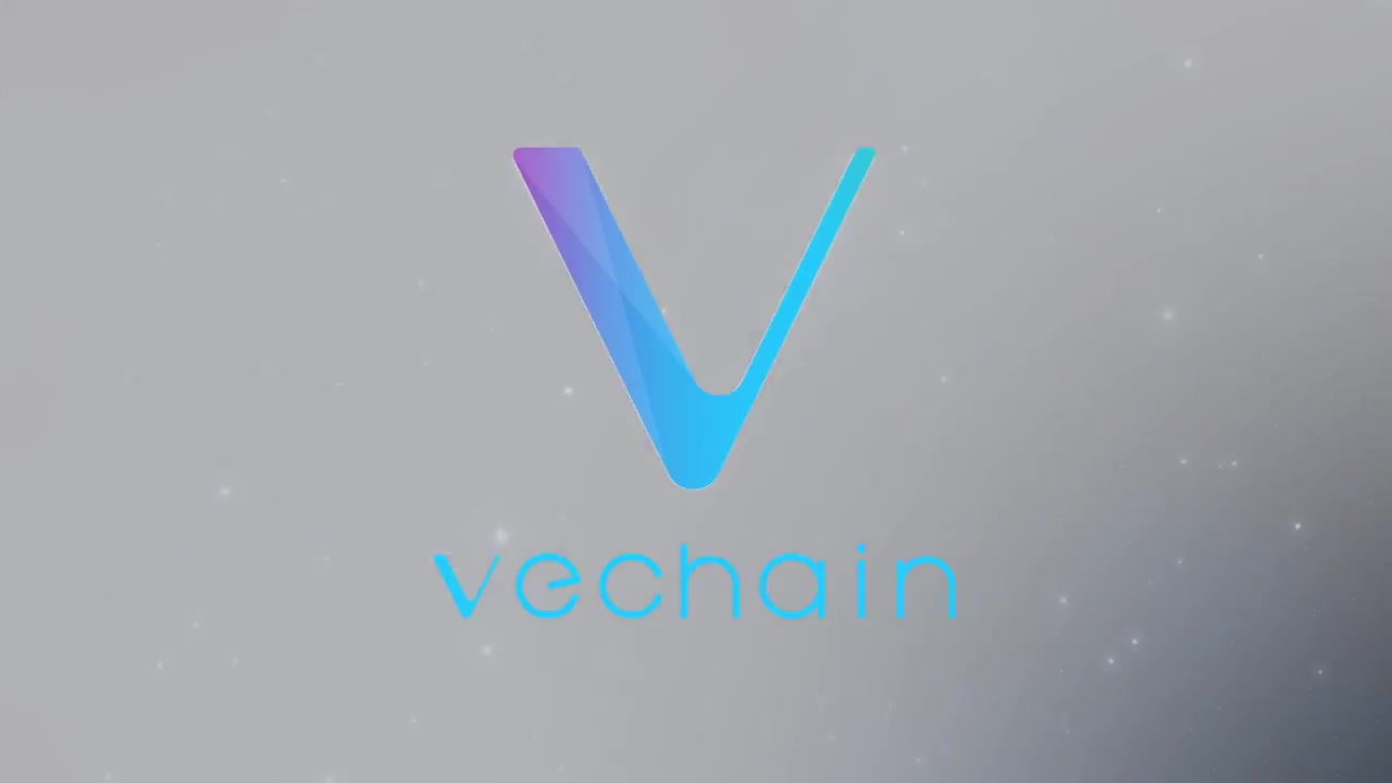 Ve Chain , Block chain and the future