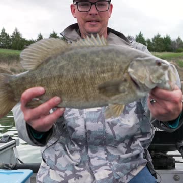 Giant Smallmouth on Feider Hair Jig