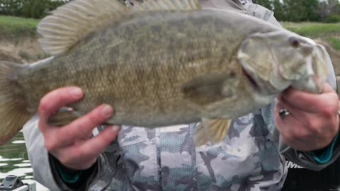 Giant Smallmouth on Feider Hair Jig