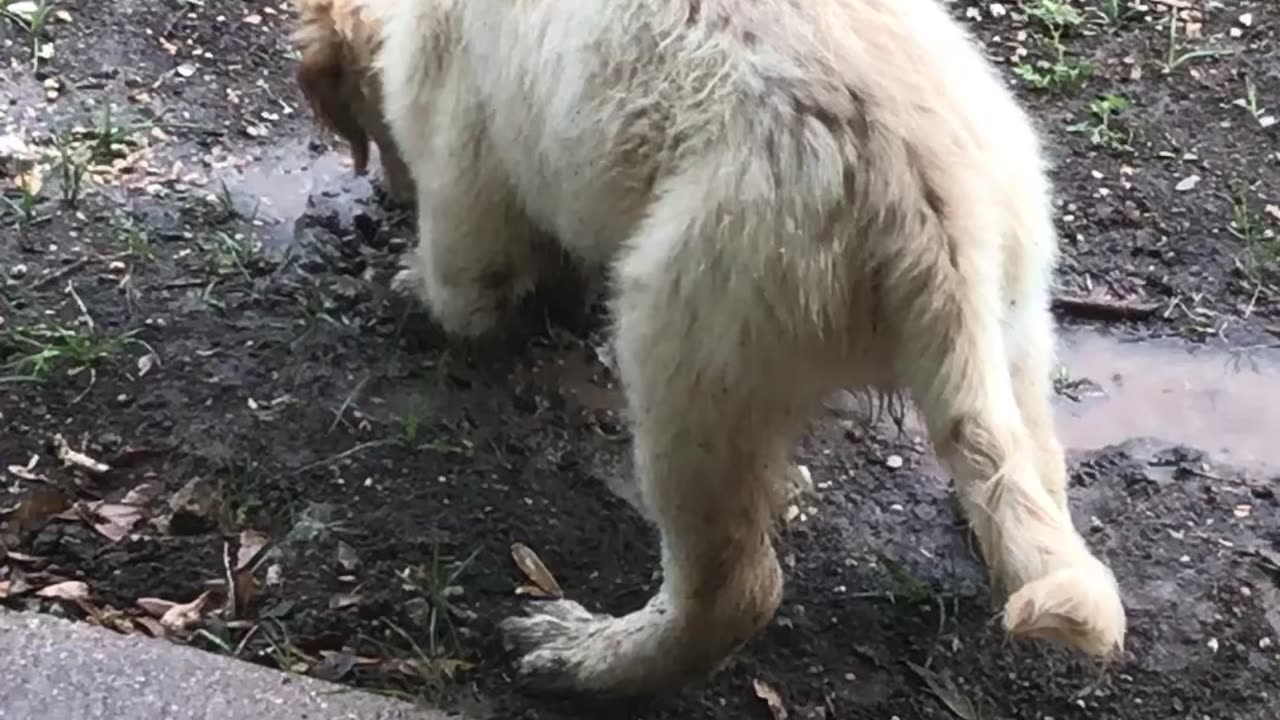 Do you let him back in the house?