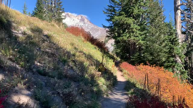 Oregon – Mount Hood – Vivid Alpine Approach – 4K