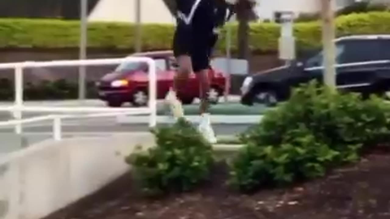 Funny Video