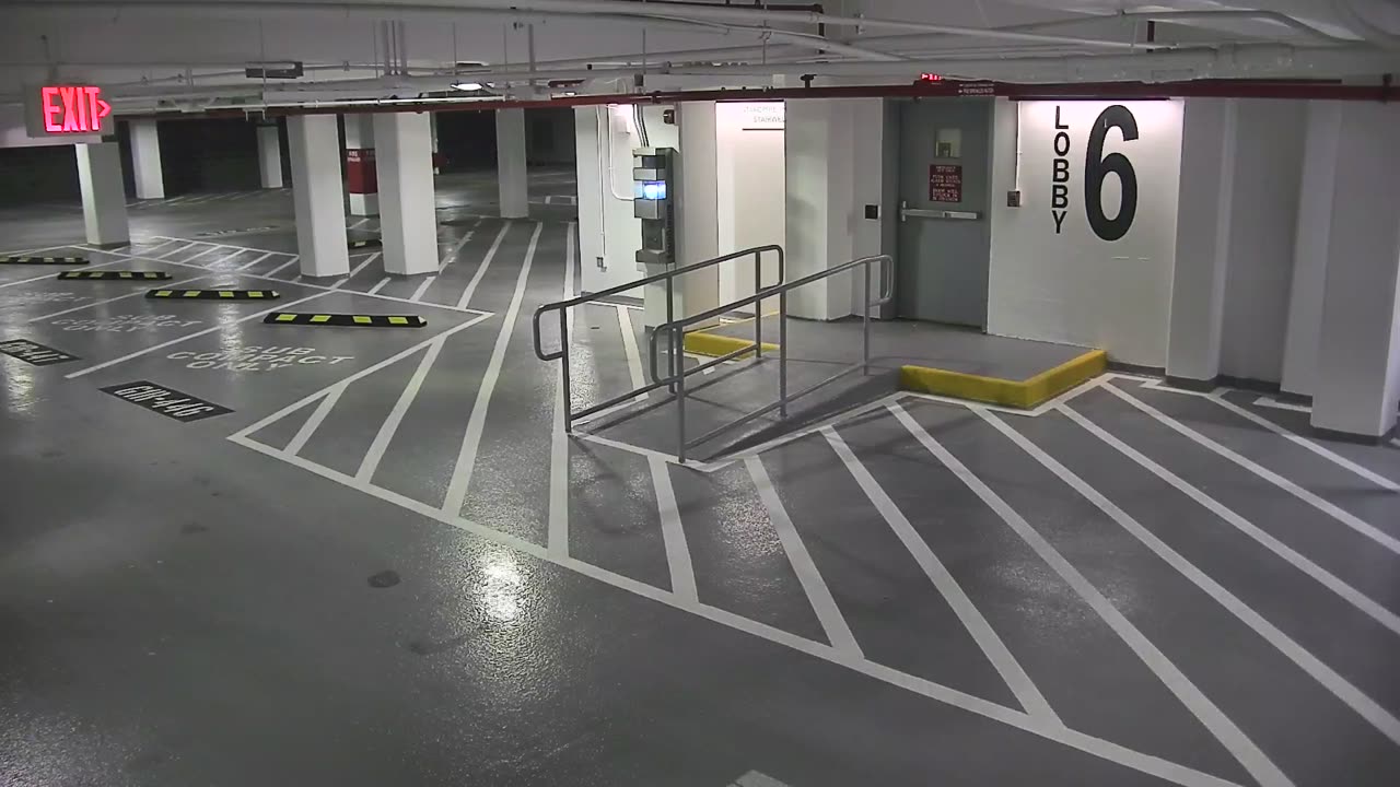 6182RHOBG1Lobby6Entrance_2021-01-05_02h00min00s120ms.mp4