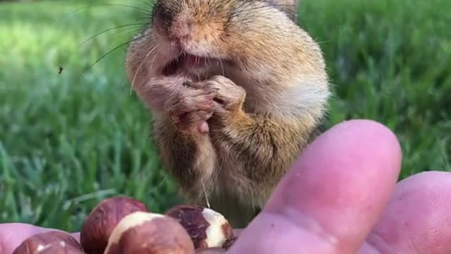 When I saw this little guy, I was in a good mood instantly