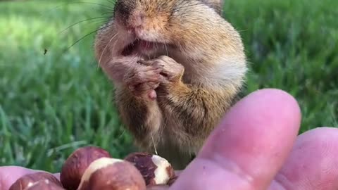 When I saw this little guy, I was in a good mood instantly
