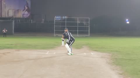 Cricket short