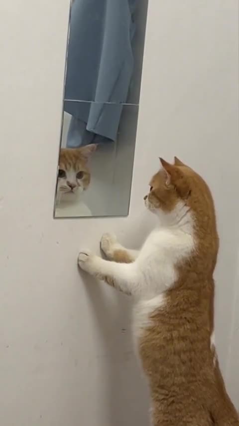 Any idea what she’s saying? ctto @ippocratic_oat