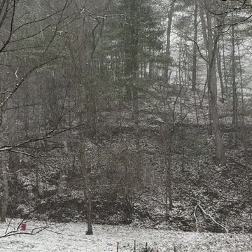 Beautiful Snow Falling on the Homestead