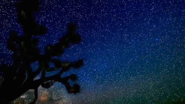 Such a beautiful starry sky