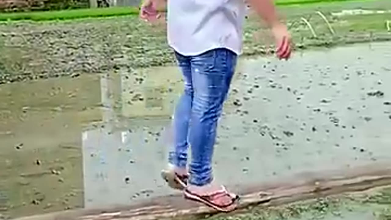 Funny shorts