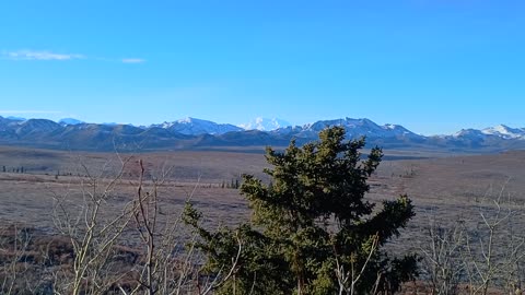 Denali National Park Drive Through