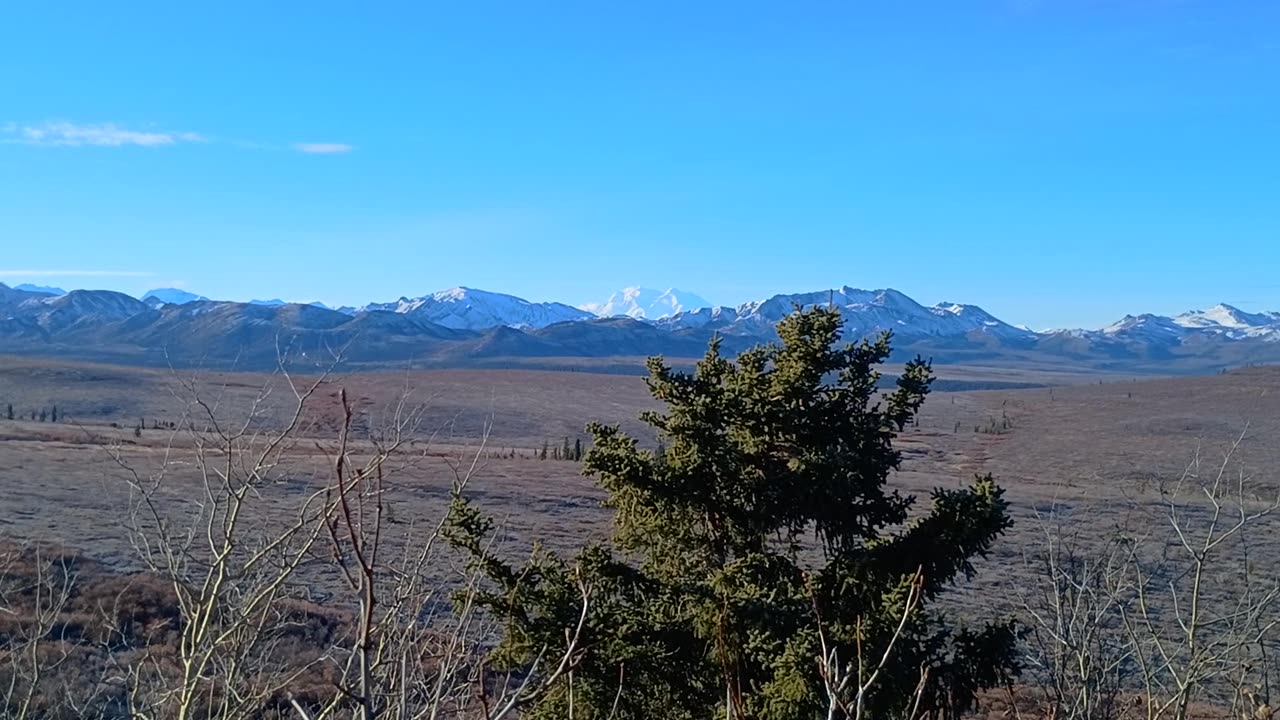 Denali National Park Drive Through