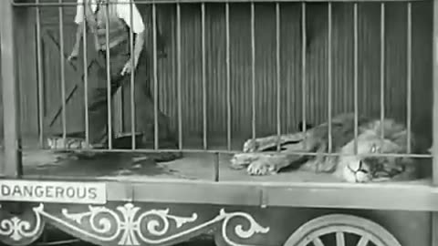 Charlie Chaplin - The Lion's Cage