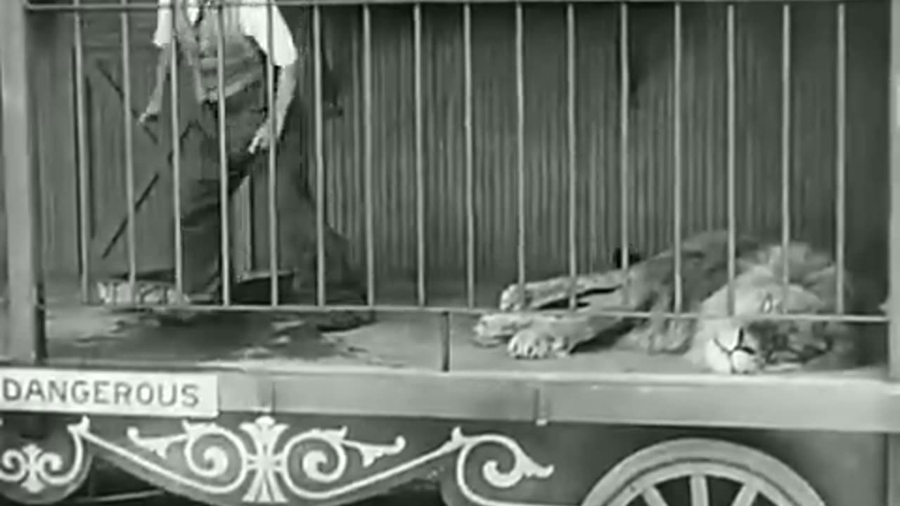 Charlie Chaplin - The Lion's Cage