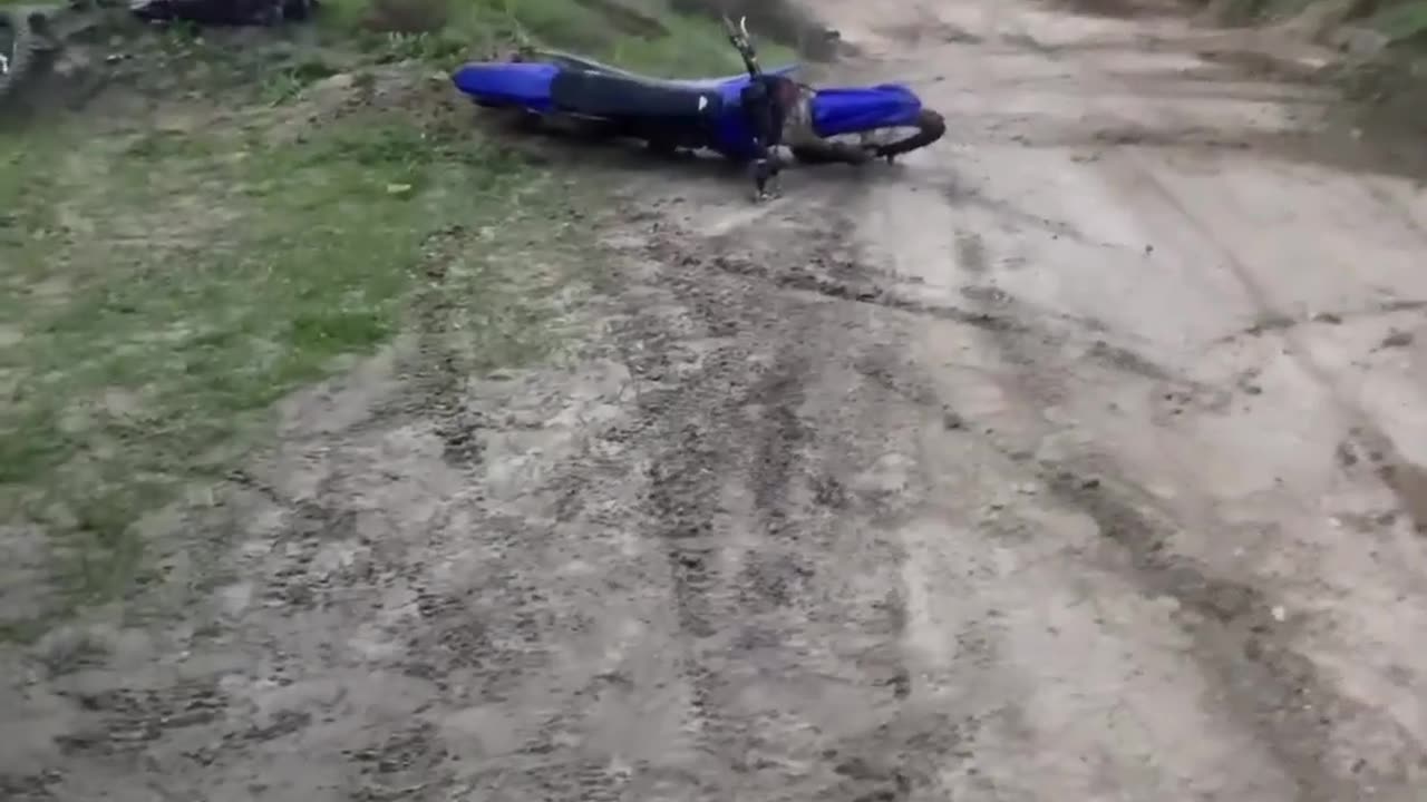 Crazy and Funny Videos!