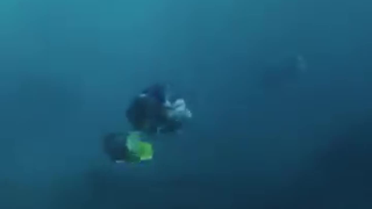 The Meg Attacks The T-Rex Scene... Meg 2 The Trench movies _the meg.