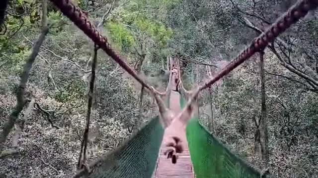 This was a crazy moment caught oncamera