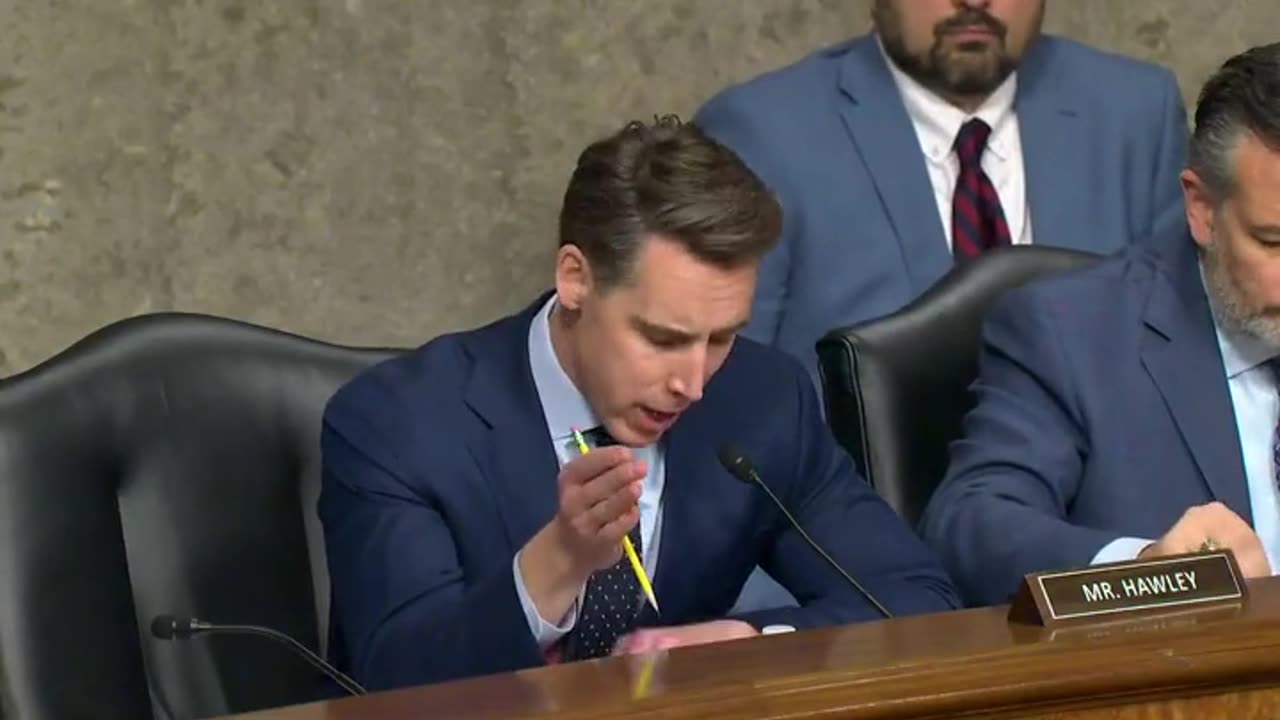 Josh Hawley Confronts Witness On Illegal Immigration