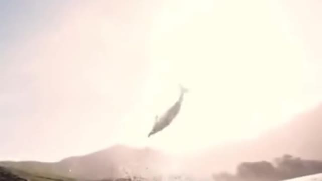 Just having fun 🤩😍