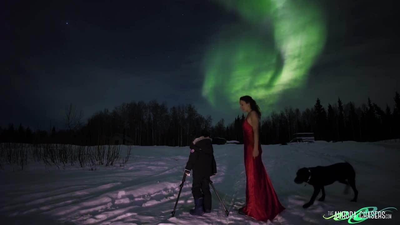 Warning! Sounds of pure excitement and joy! Wild night of Northern Lights in Alaska in Real-Time