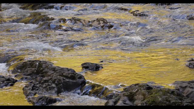 Liquid Ambience