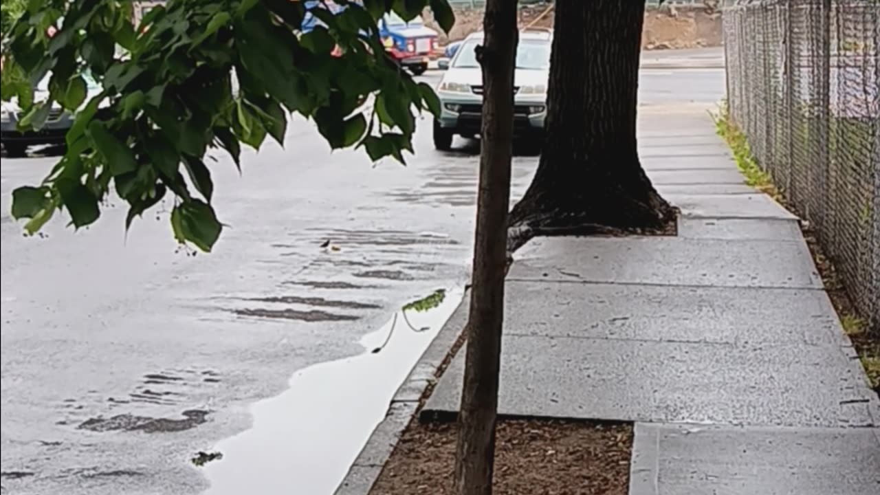 The ABW was never my preference