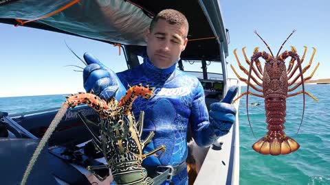 Giant Lobster Catch And Cook With My Family