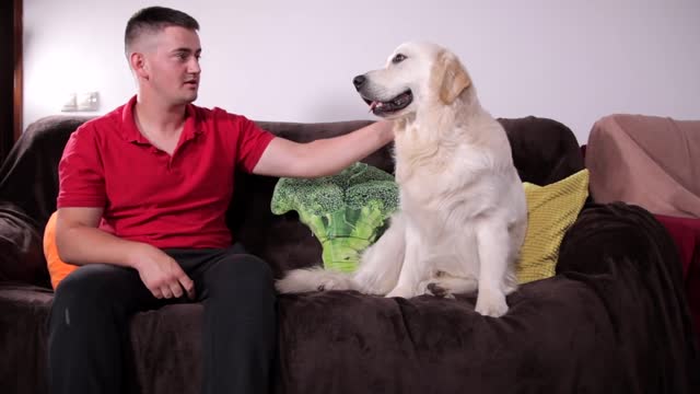 Holding My Dog's Paw as Long as Possible Funny Dog Reaction