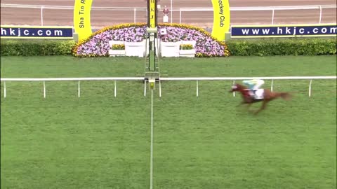 Horce_Race_2022050701_English