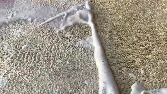 #asmr #carpetcleaning #satisfying