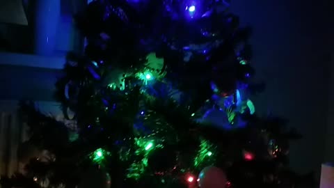 Christmas tree at home