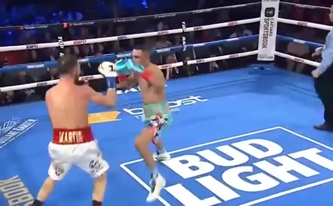 Teofimo Lopez vs Sandor Martin fight Highlights 2022