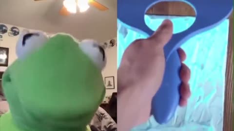 Kermit Tiktoks