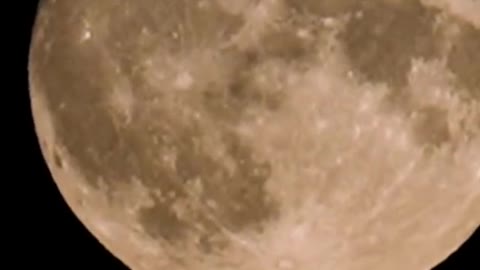 Stunning timelapse footage captured the glowing supermoon, known as the Sturgeon