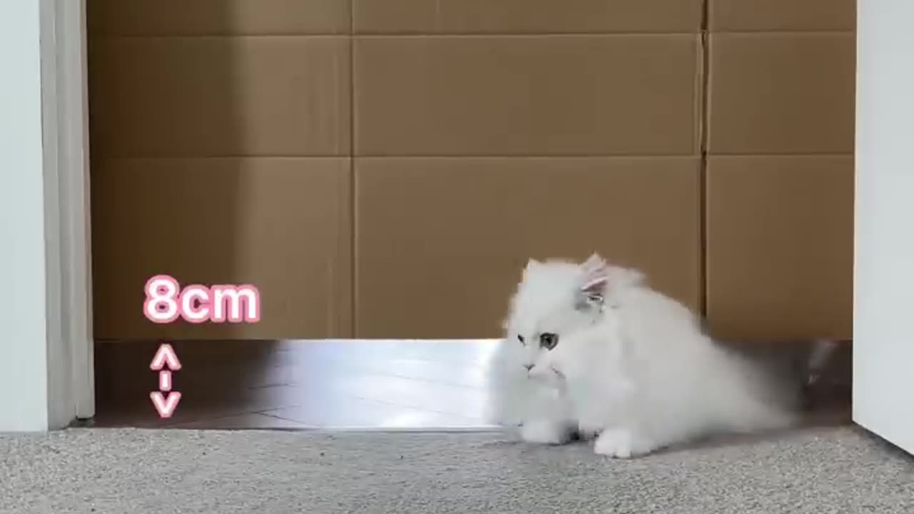 i bet you do not skip this